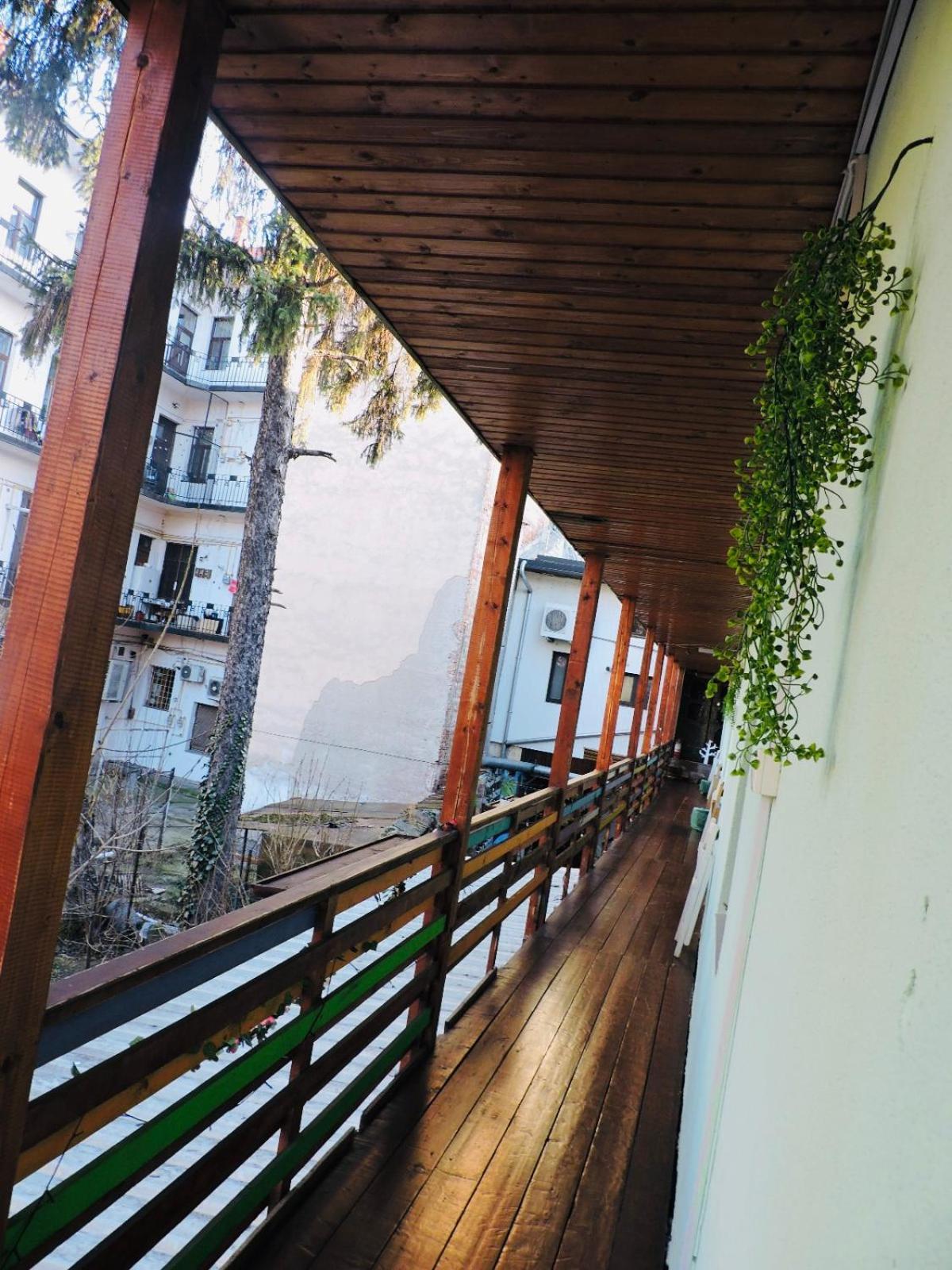 Zen Ostello Cluj-Napoca Esterno foto
